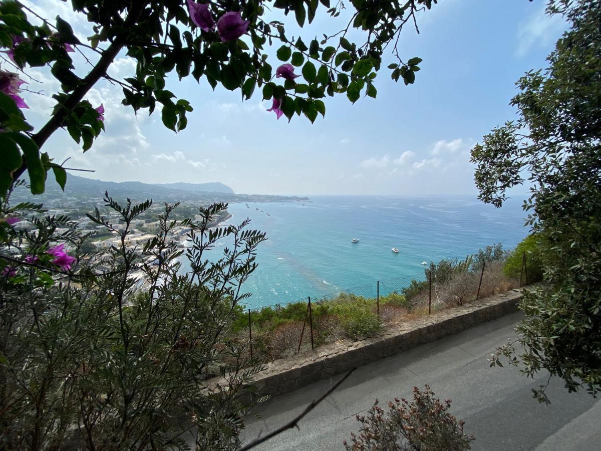 Le Dimore Di Zaro - Green Paradise Forio  Luaran gambar