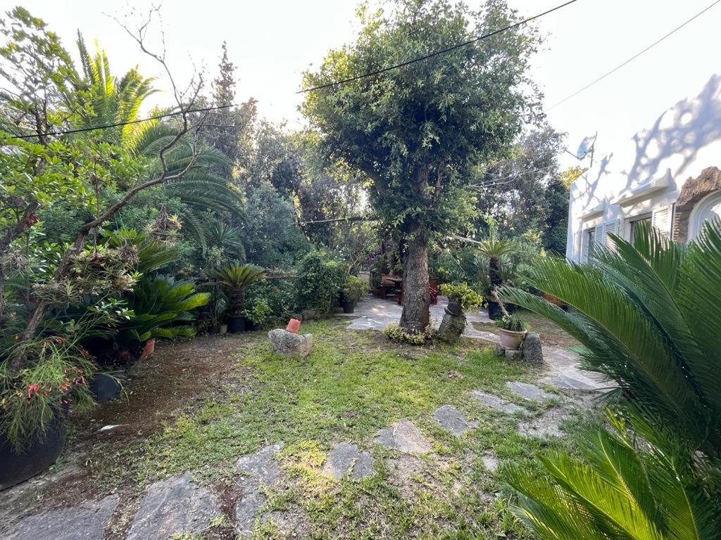 Le Dimore Di Zaro - Green Paradise Forio  Luaran gambar