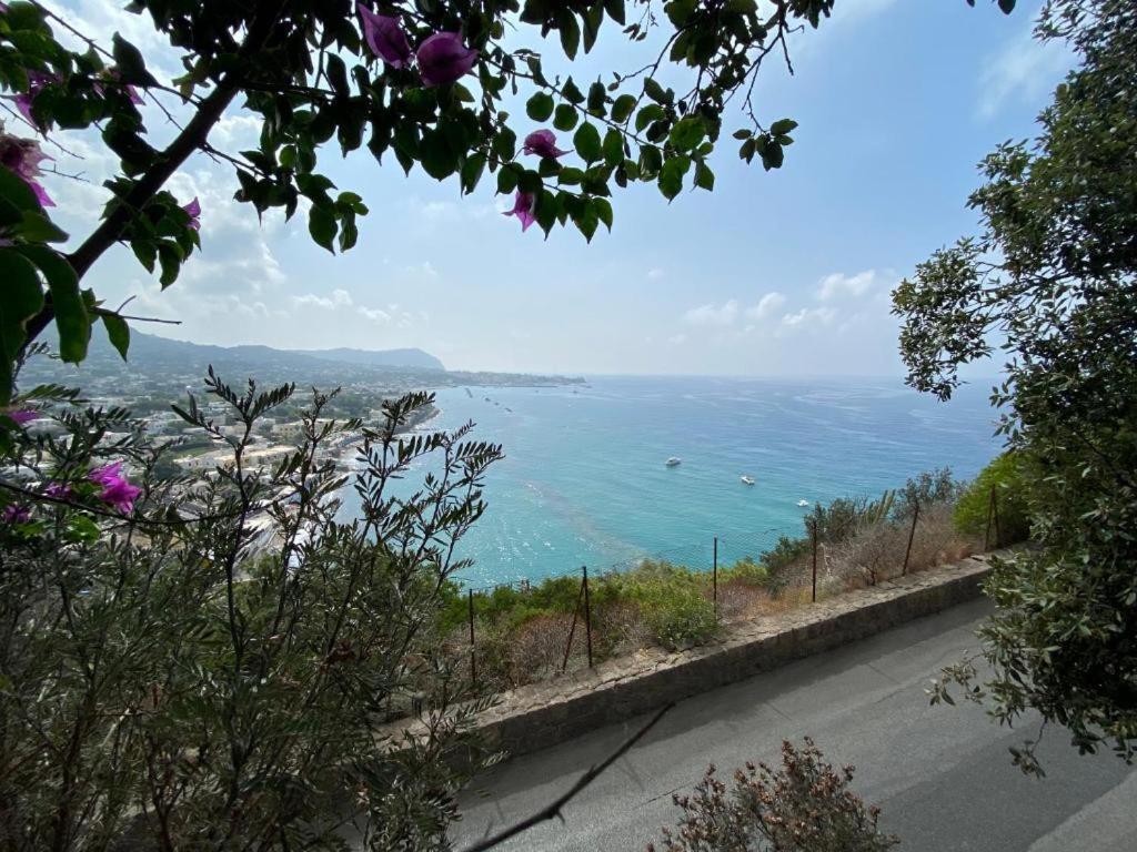 Le Dimore Di Zaro - Green Paradise Forio  Luaran gambar